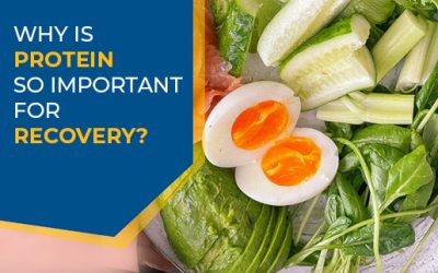 Why is protein so important for recovery?